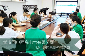國(guó)電西高周三培訓(xùn)之SF6測(cè)試儀選型培訓(xùn)會(huì)