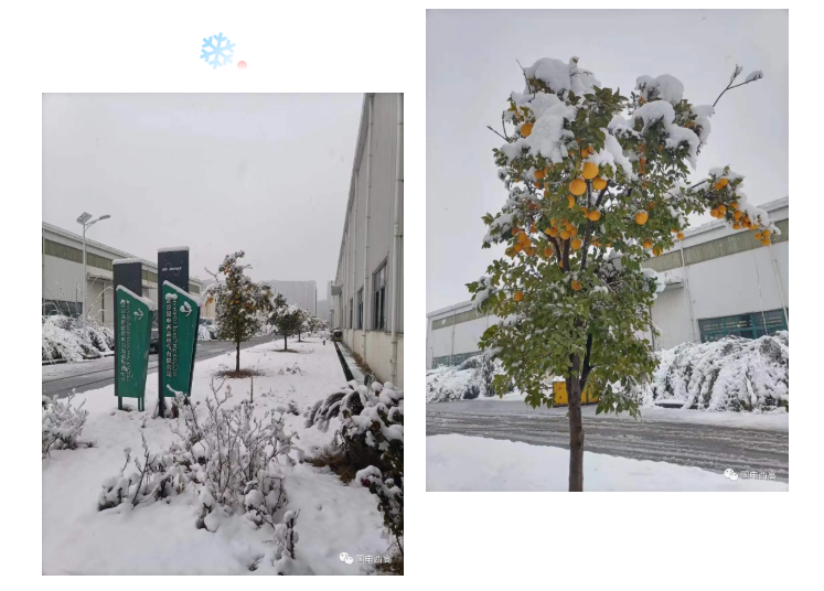 局部放電檢測儀，串聯(lián)諧振，SF6氣體檢漏儀